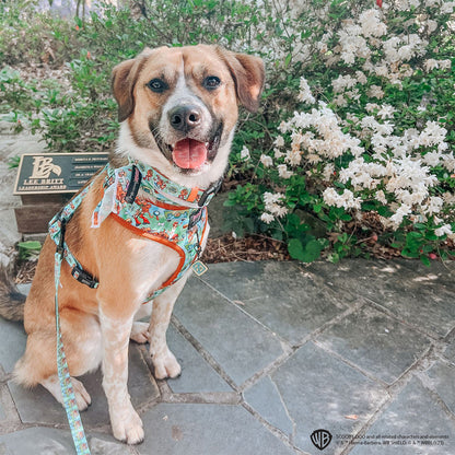 Dog Adjustable Harness - Scooby-Doo™